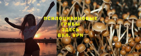 кокс Алексин