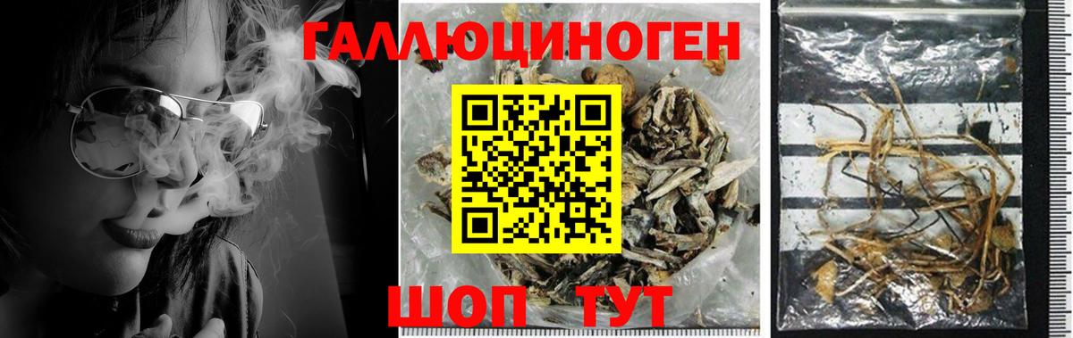 Псилоцибиновые грибы Magic Shrooms  Вход с VPN  Арсеньев 